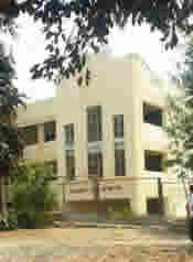 golden link school